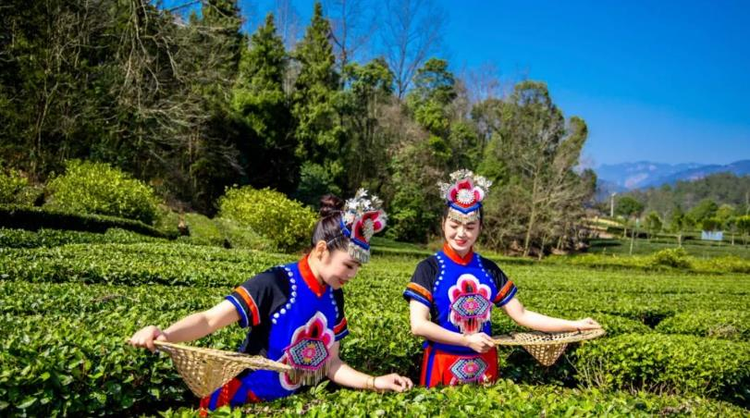 长阳土家族自治县