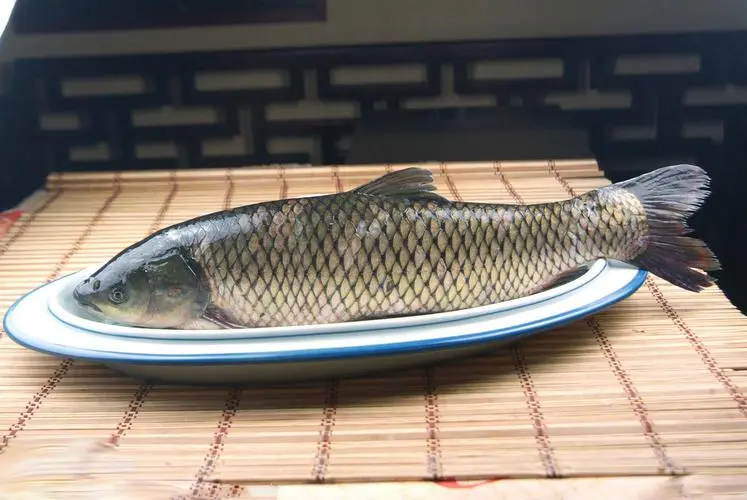 梅州市