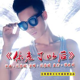 你走了以后