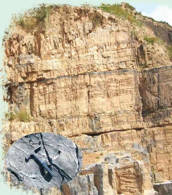 云雾山新元古代白云岩露头.jpeg