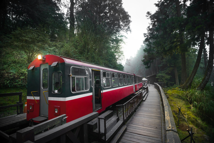 阿里山森林火车铁路Alishan forest train railway