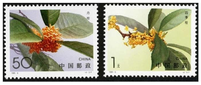 桂花