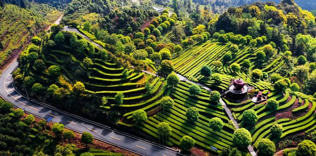 高县