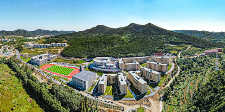 大连东软信息学院