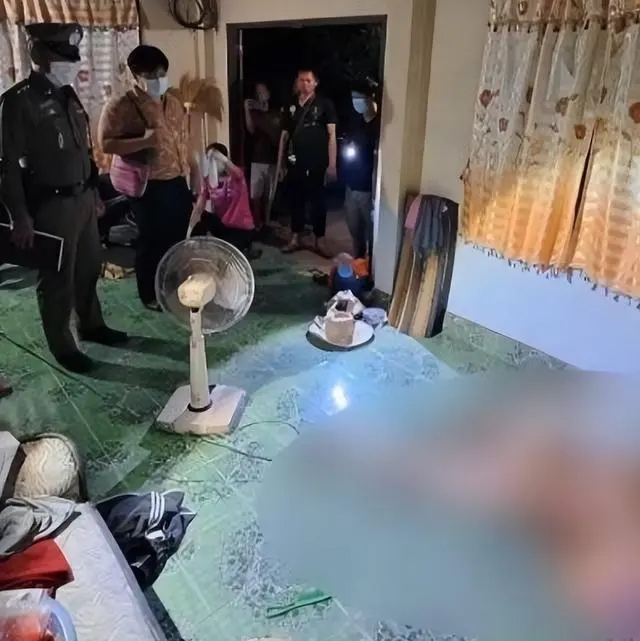 5·3泰国男子性侵女邻居被反杀事件