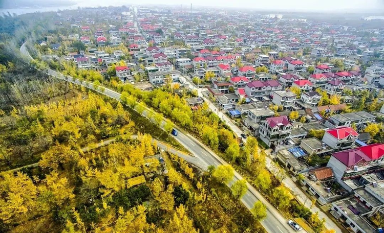 邳州市