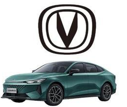 2024中国（武汉）第五届问题车展