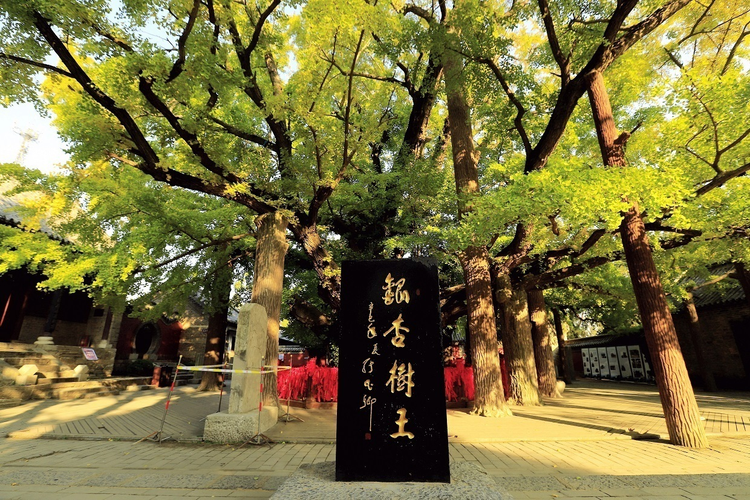 日照市