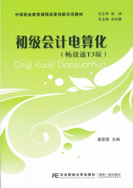 初级会计电算化