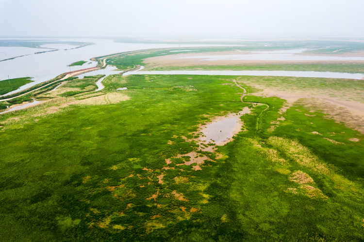 鄱阳湖南矶乡
