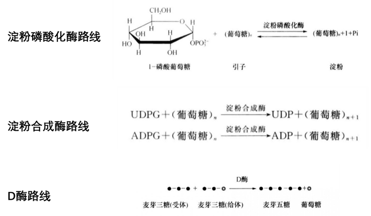淀粉