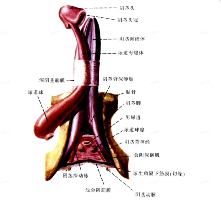 截屏2023-11-05 06.28.png