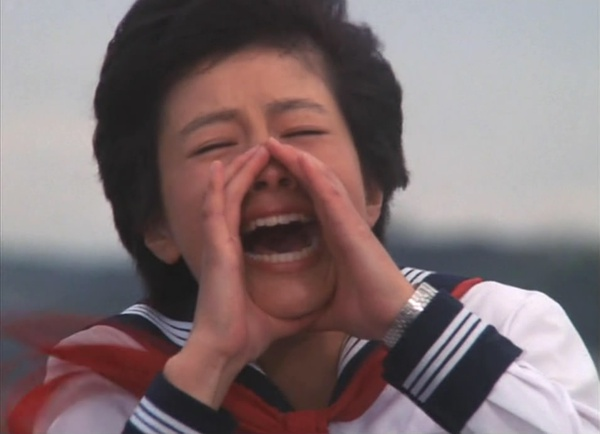 刑事物语－片山刑警在山城