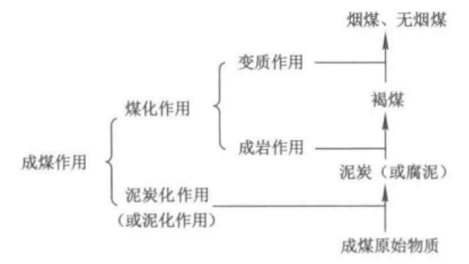 成煤作用简图.png