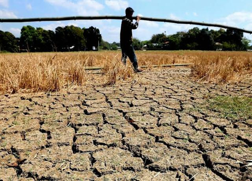 3·5菲律宾厄尔尼诺旱灾