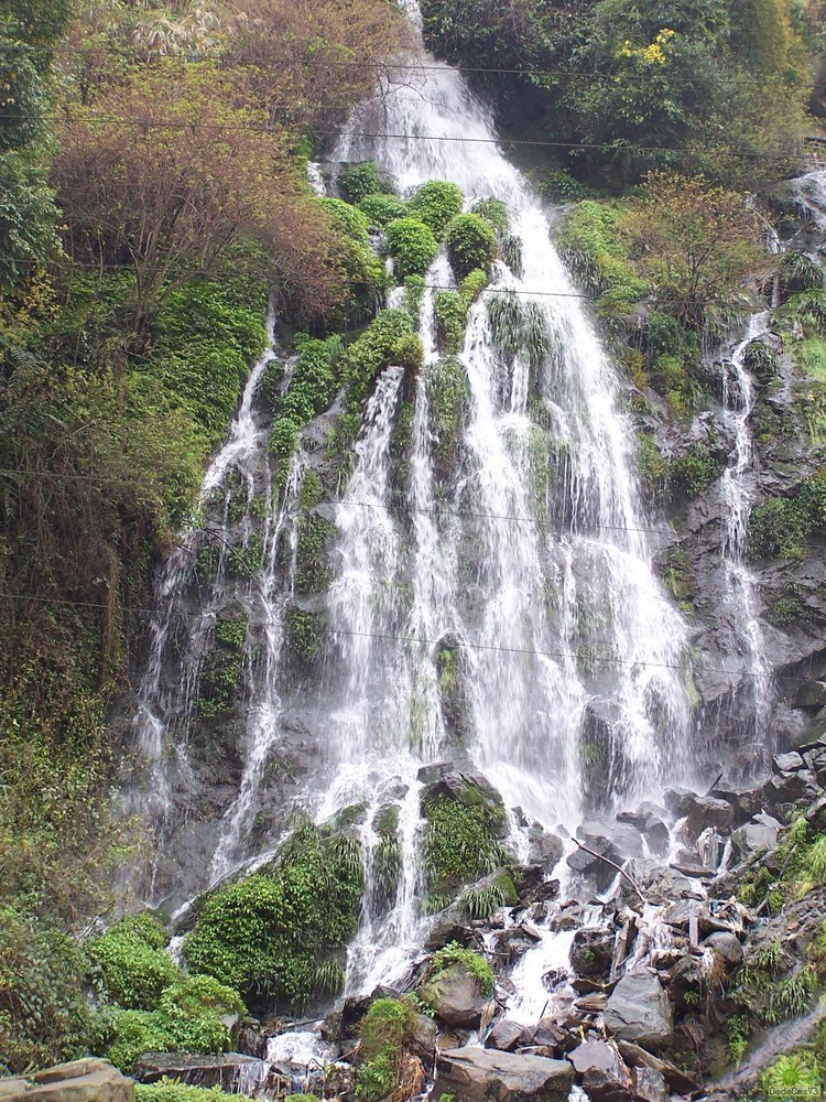 大河村