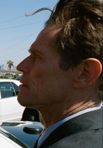 儿子，你都干了什么