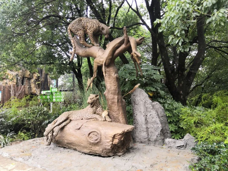 红山森林动物园