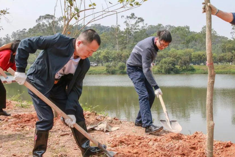 东城街道林业