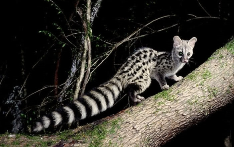 迪庆藏族自治州