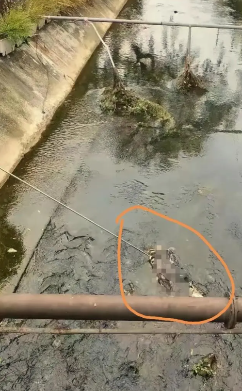 2023上饶碎尸案