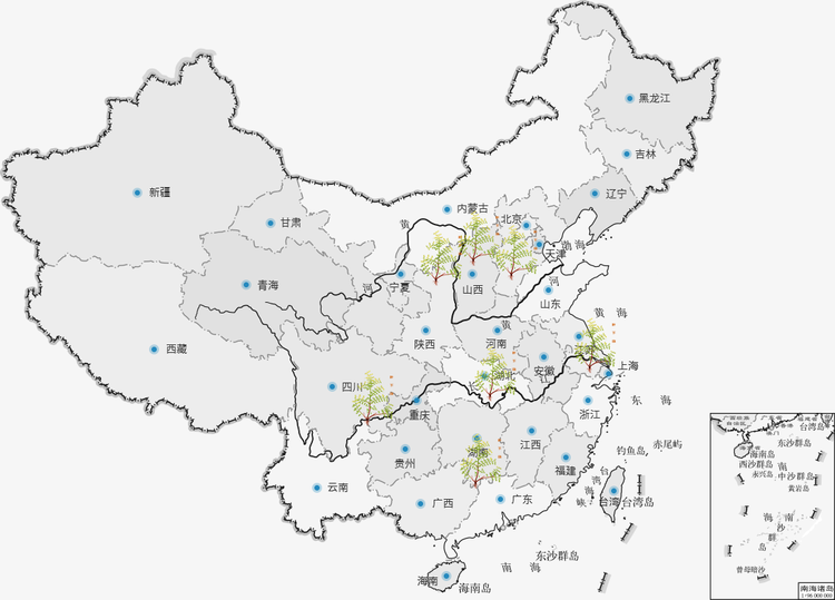 叶下珠