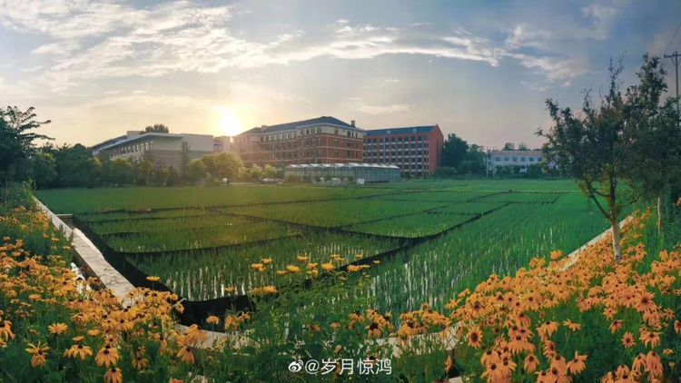 沈阳农业大学
