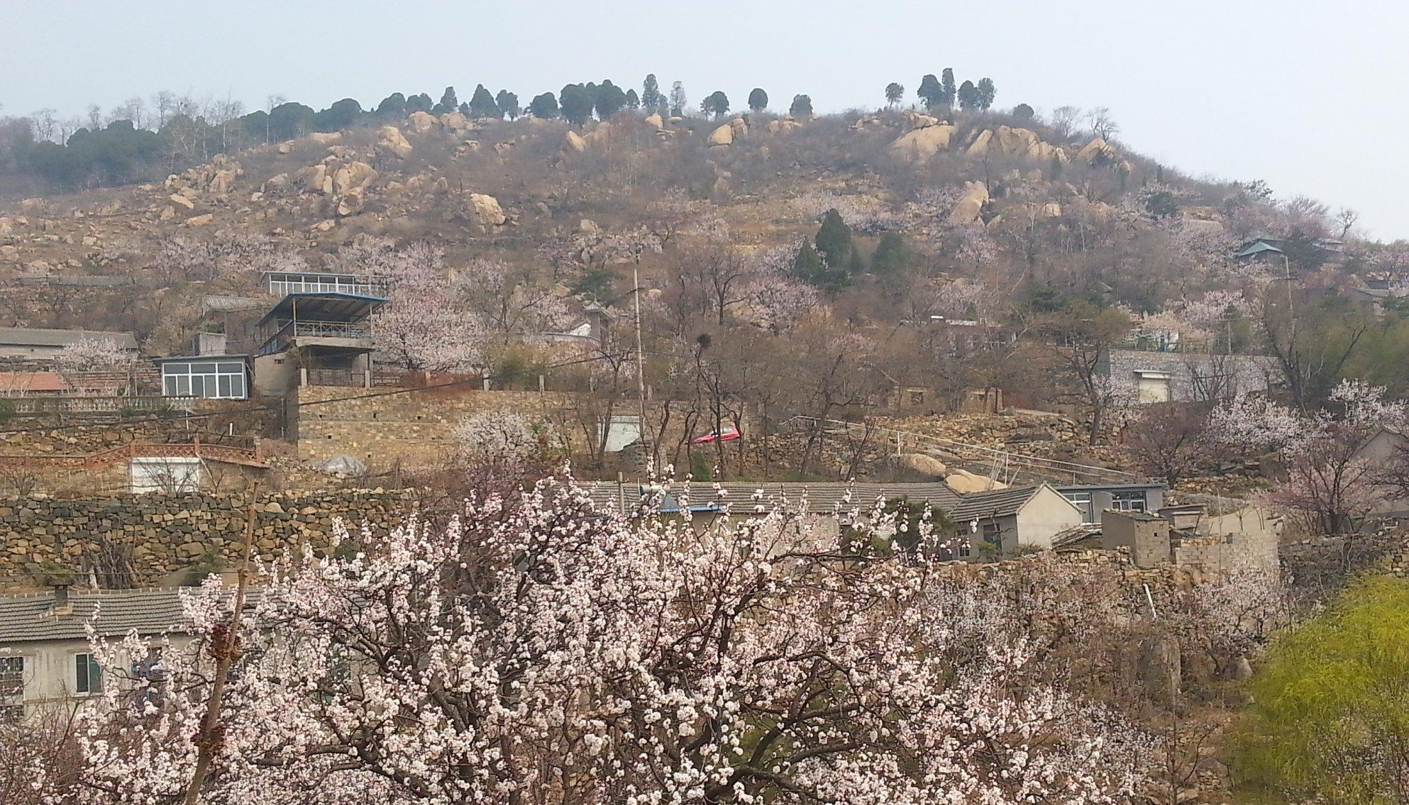 韩家岭村