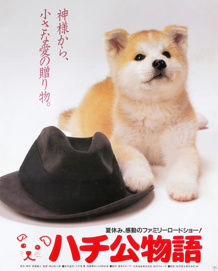 忠犬八公的故事