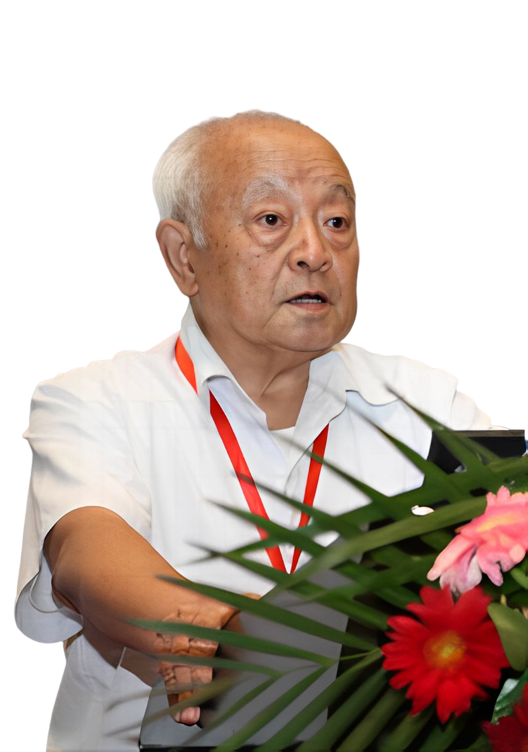 蔡鹤皋