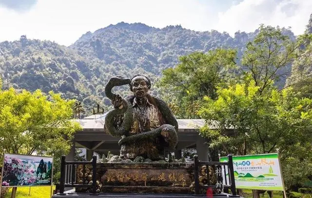 莽山原矛头蝮