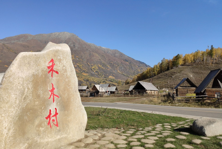 新疆维吾尔自治区