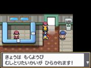 口袋妖怪心金·魂银