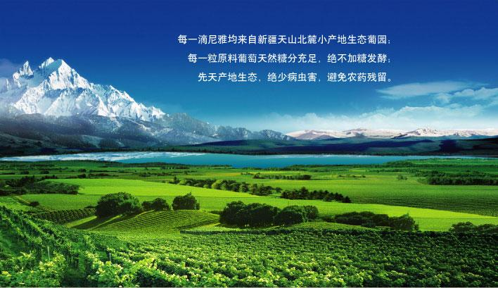 尼雅葡萄酒