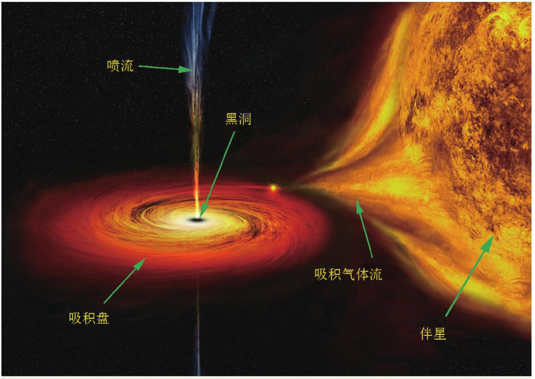 恒星级黑洞示意图.png