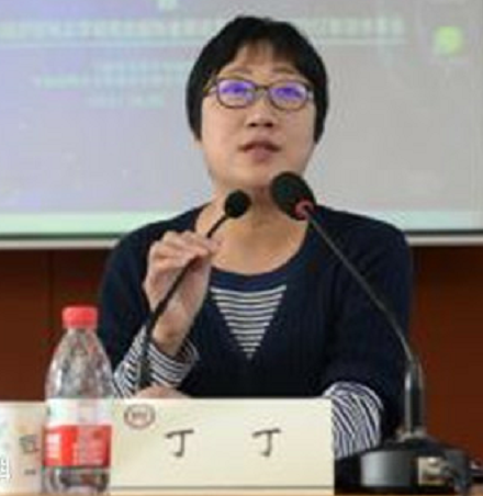 丁丁