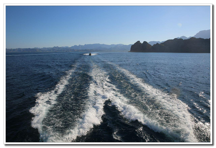 南下加利福尼亚