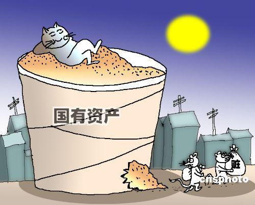 国有资产