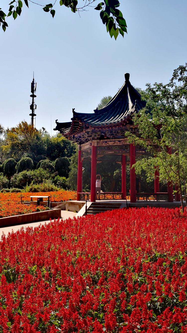 乌鲁木齐人民公园