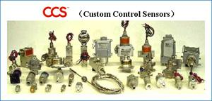 CCS