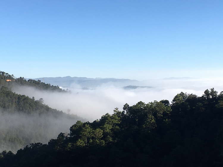 峨山彝族自治县