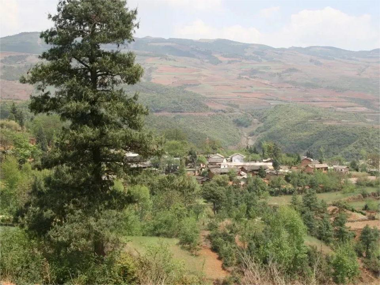 寻甸回族彝族自治县