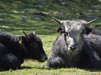 长沙生态动物园
