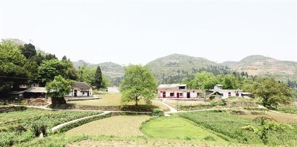茨竹村
