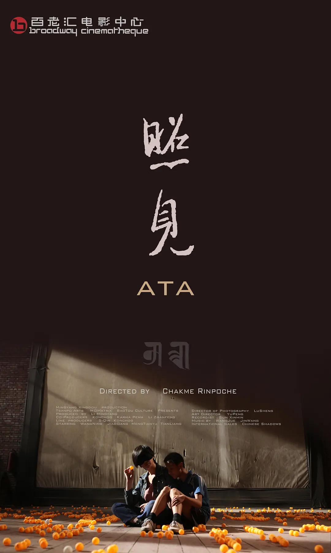 照见