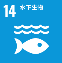 联合国儿童基金会