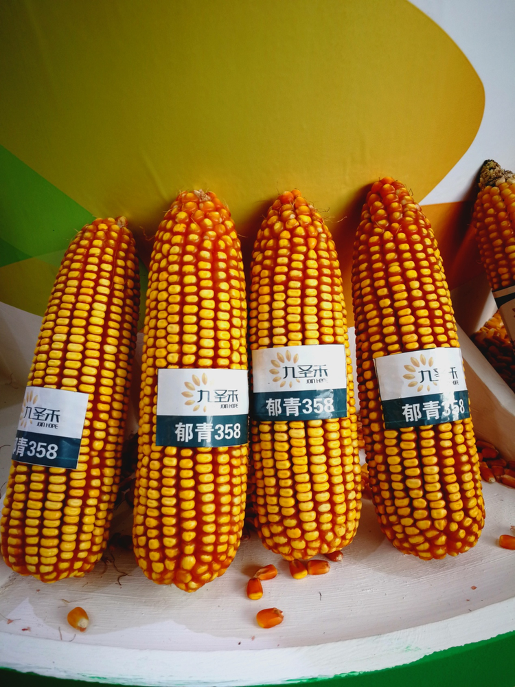 九圣禾种业股份有限公司