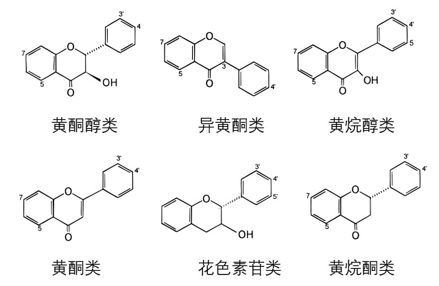 抗氧化剂