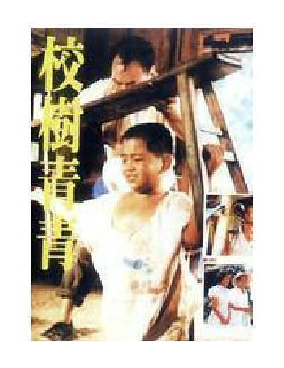 杨贵媚