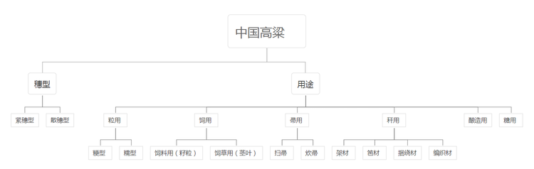 高粱
